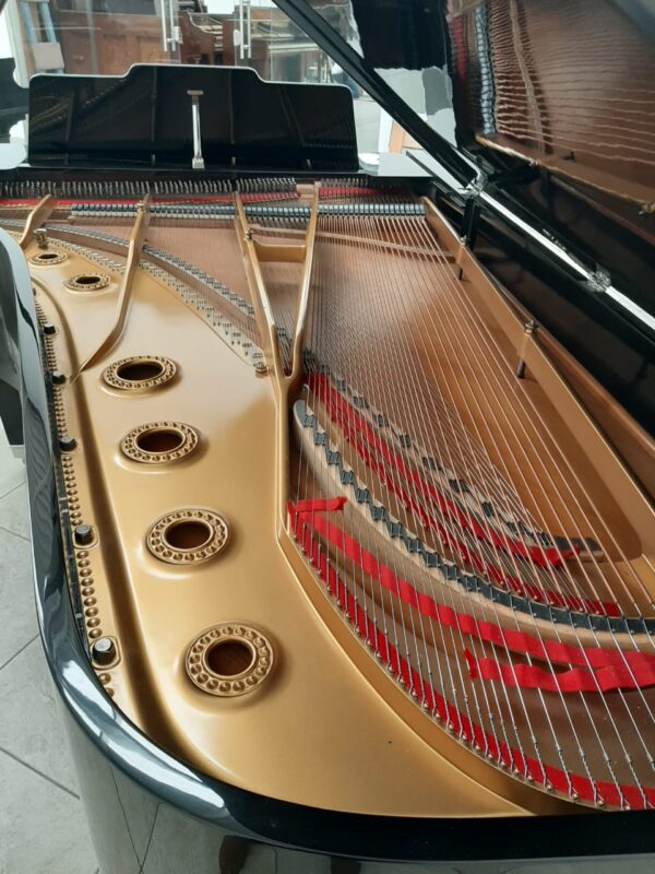 STEINWAY & SONS — El Mejor Piano del Mundo, Ahora a Tu Alcance en Su Majestad el Piano, de Cola.