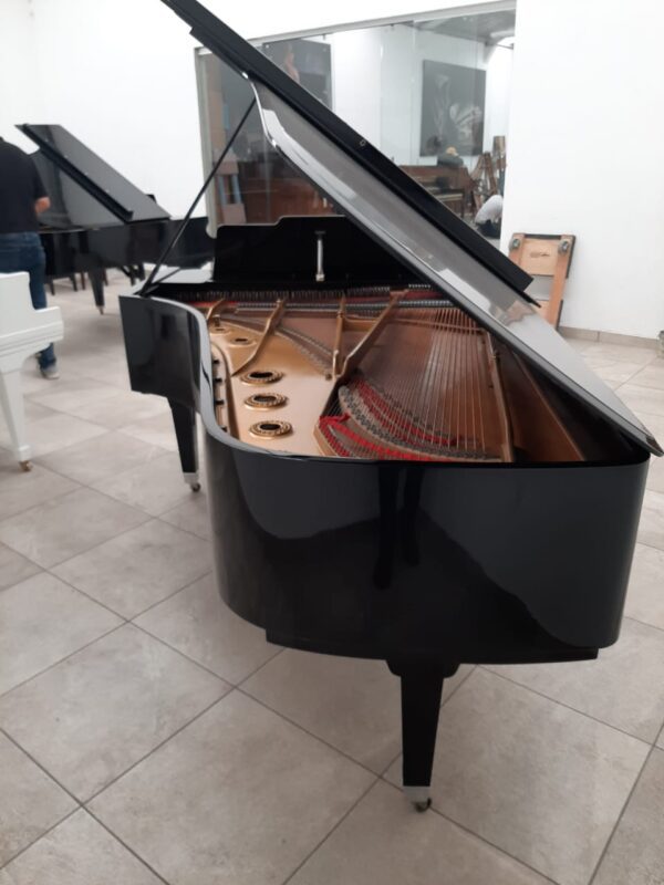 STEINWAY & SONS — El Mejor Piano del Mundo, Ahora a Tu Alcance en Su Majestad el Piano, de Cola.