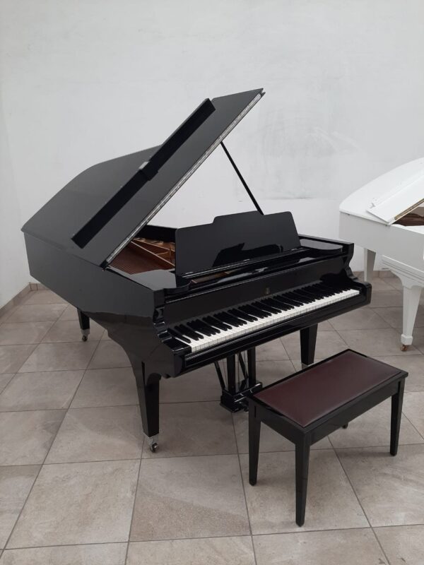 STEINWAY & SONS — El Mejor Piano del Mundo, Ahora a Tu Alcance en Su Majestad el Piano, de Cola.