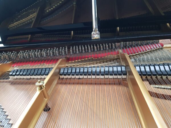 STEINWAY & SONS — El Mejor Piano del Mundo, Ahora a Tu Alcance en Su Majestad el Piano, de Cola.