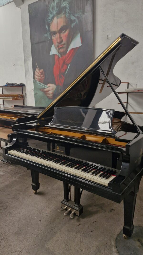 #199015 Piano STEINWAY & SONS Modelo M, Media Cola 188 cm. Largo