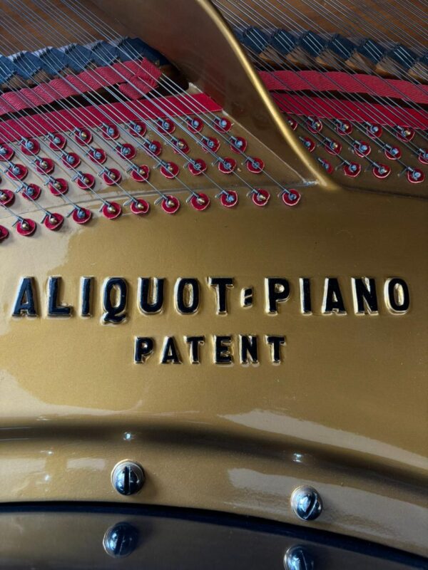 Piano de Cola Blüthner D Aliquot – Maquinaria Renner, 2.75m, envío a todo México