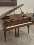 ¡GRAN REMATE DE BODEGA – LIQUIDACIÓN URGENTE! $39,900 MXN | Su Majestad El Piano
