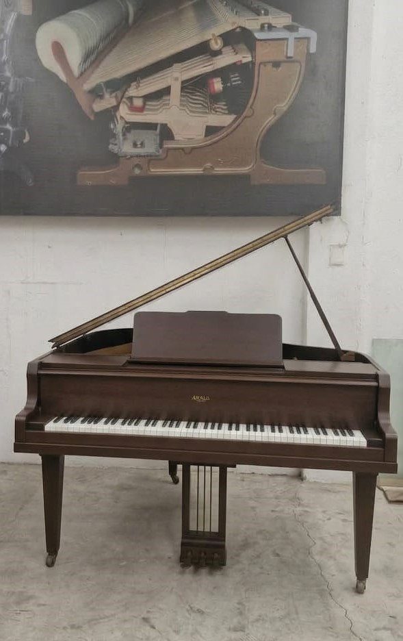 ¡GRAN REMATE DE BODEGA – LIQUIDACIÓN URGENTE! $39,900 MXN | Su Majestad El Piano