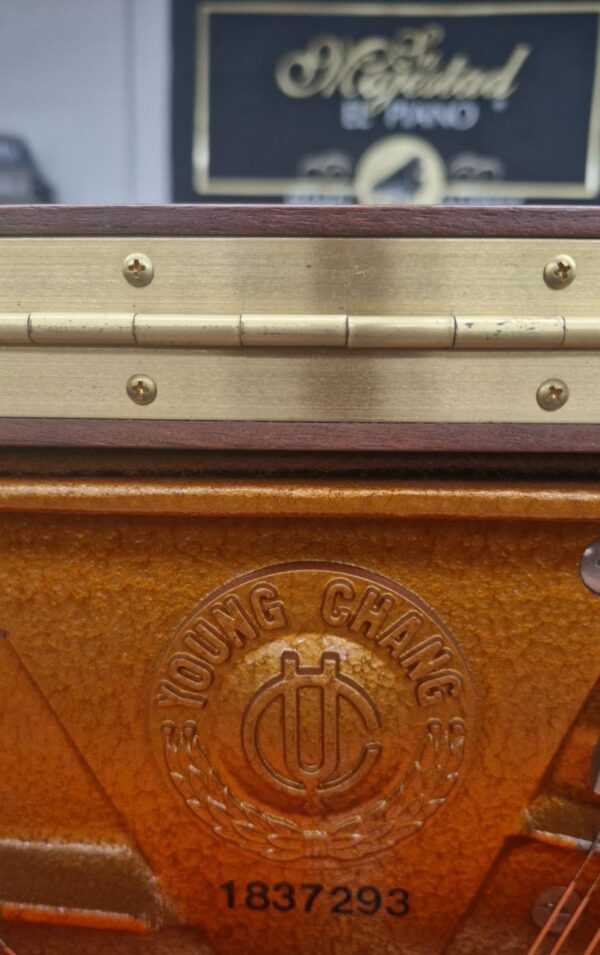#1837293 Piano YOUNG CHANG  U-121, Sonido que conquista desde la primera nota, Vertical.