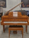 Piano SCHAFER & SONS Raiz de Olmo, Excelente proyección armónica, de Cola.