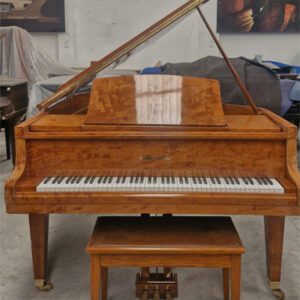 Piano Schafer Sons - detalle del teclado