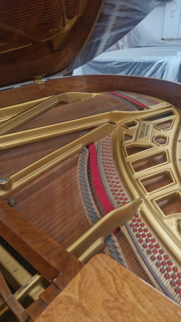 Piano SCHAFER & SONS Raiz de Olmo, Excelente proyección armónica, de Cola.
