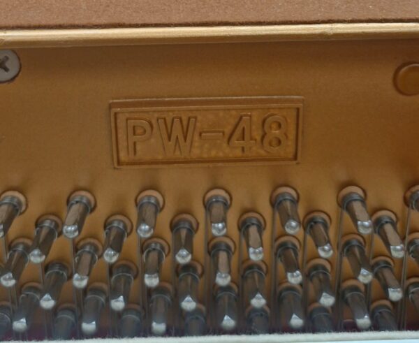 #Y02583237 Piano WEBER PW-48 Potencia y Claridad que Impresionan, Vertical.