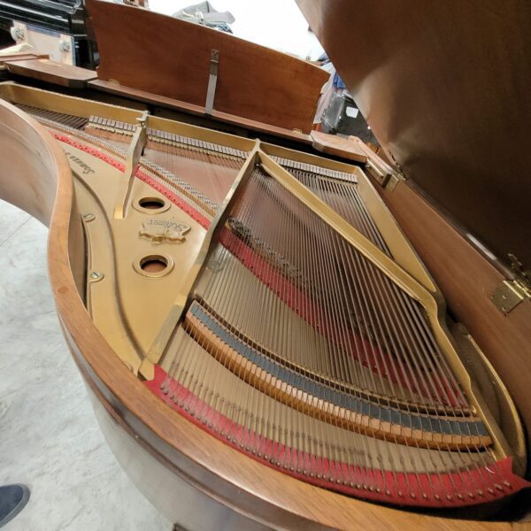#154767 Piano SHOMER 1/4 de cola 153 cm. de Lago.