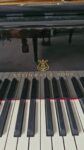#209345 Piano de Cola STEINWAY & SONS Modelo B, Lujo y Elegancia.