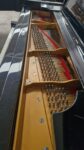 #209345 Piano de Cola STEINWAY & SONS Modelo B, Lujo y Elegancia.