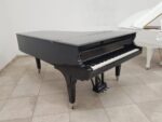 STEINWAY & SONS — El Mejor Piano del Mundo, Ahora a Tu Alcance en Su Majestad el Piano, de Cola.