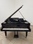 STEINWAY & SONS — El Mejor Piano del Mundo, Ahora a Tu Alcance en Su Majestad el Piano, de Cola.