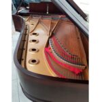 STEINWAY & SONS — El Mejor Piano del Mundo, Ahora a Tu Alcance en Su Majestad el Piano, de Cola.