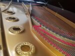 STEINWAY & SONS — El Mejor Piano del Mundo, Ahora a Tu Alcance en Su Majestad el Piano, de Cola.