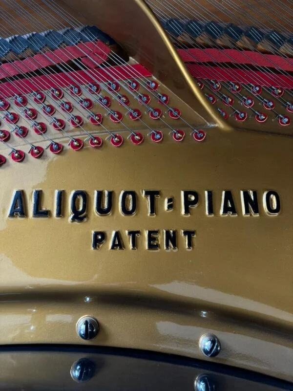 Piano de Cola Blüthner D Aliquot – Maquinaria Renner, 2.75m, envío a todo México