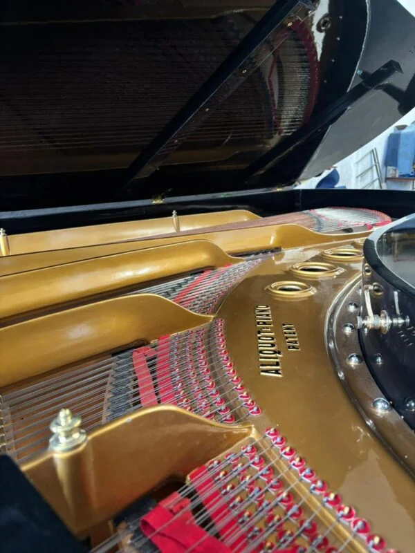 Piano de Cola Blüthner D Aliquot – Maquinaria Renner, 2.75m, envío a todo México