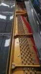 #199015 Piano STEINWAY & SONS Modelo M, Media Cola 188 cm. Largo
