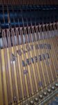 Piano de Cola Blüthner D Aliquot – Maquinaria Renner, 2.75m, envío a todo México