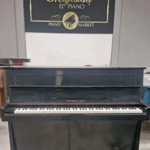 Piano Fukuyama Sons - detalle del teclado