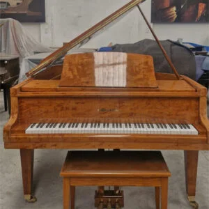 Piano Schafer Sons De Cola - detalle del teclado