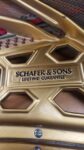 Piano SCHAFER & SONS Raiz de Olmo, Excelente proyección armónica, de Cola.