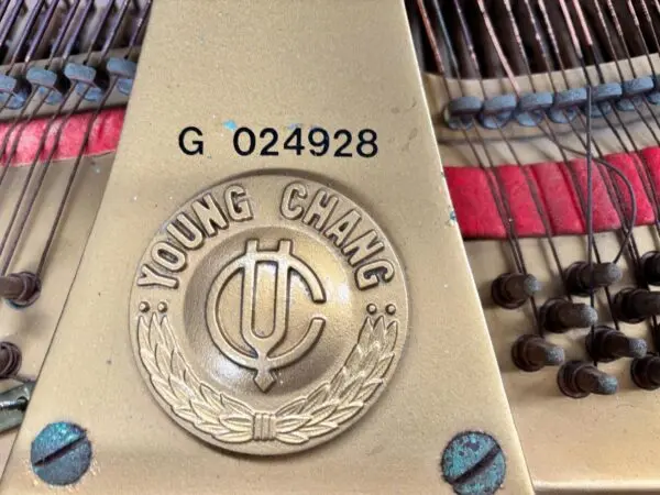 #G24928 Hermoso Piano YOUNG CHANG G-150 Negro Brillante.