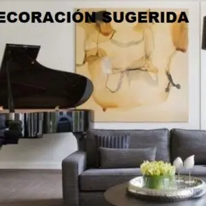 Negro 17