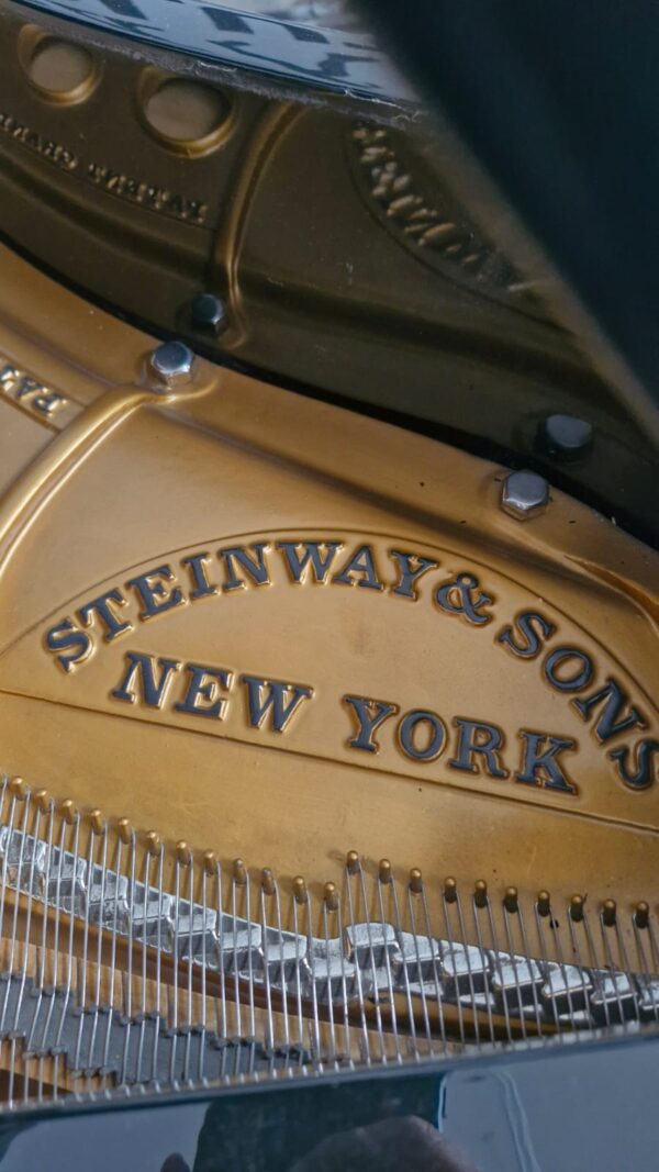 #225246 Piano STEINWAY & SONS, Modelo M, 170 cm de Largo.