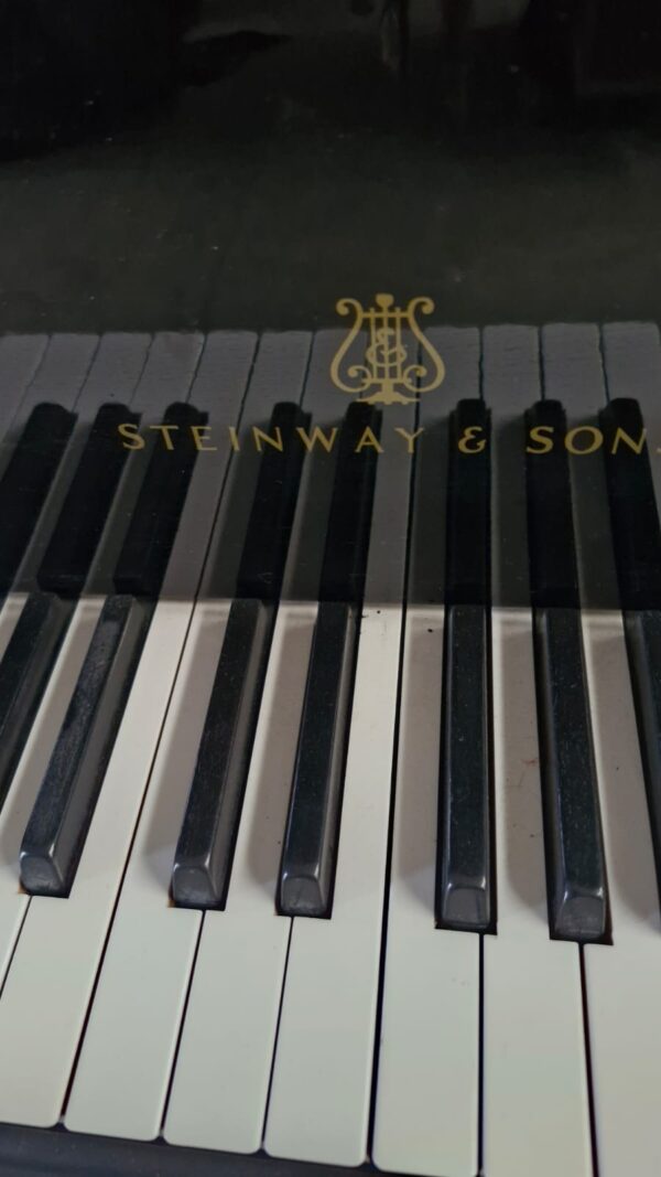 #225246 Piano STEINWAY & SONS, Modelo M, 170 cm de Largo.