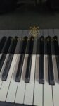 #225246 Piano STEINWAY & SONS, Modelo M, 170 cm de Largo.